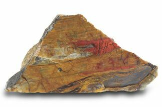 Lustrous Binghamite Agate Stand Up - Minnesota #299270