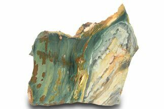 Gary Green Jasper (Larsonite) Bog Wood Slab - Oregon #299318