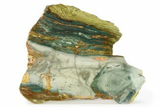 Gary Green Jasper (Larsonite) Bog Wood Slab - Oregon #299330