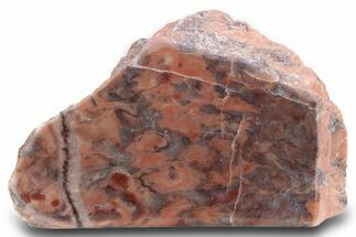 Polished Kona Dolomite Section - Michigan #299923