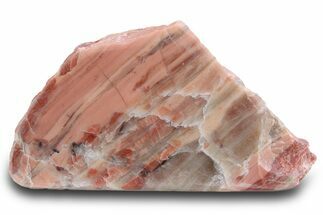 Polished Kona Dolomite Section - Michigan #299929