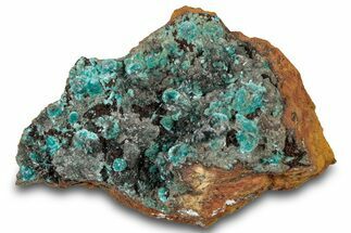 Fibrous Blue Aurichalcite Crystals on Hemimorphite - Mexico #300484