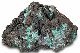 Fibrous Blue Aurichalcite Crystal Cluster - Mexico #300536