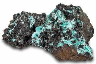 Fibrous Blue Aurichalcite Crystal Cluster - Mexico #300539