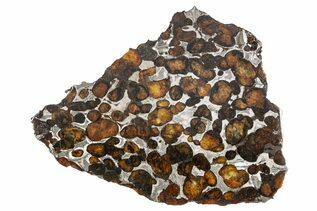 Sericho Pallasites For Sale