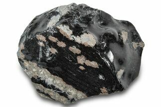 Snowflake Obsidian Section - Utah #300237