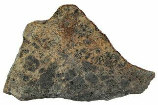 Polished Diogenite Meteorite ( g) Slice - NWA #301060