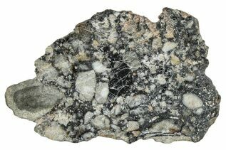 Ajdabiya 001 Meteorites For Sale