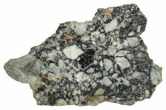 Polished Lunar Meteorite ( g) Slice - Ajdabiya #301107