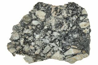 Ajdabiya 001 Meteorites For Sale