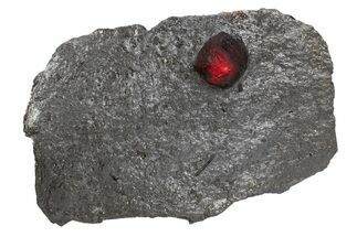 Red Embers Garnet in Graphite - Massachusetts #301078