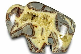 Calcite-Filled Polished Septarian Bison - Utah #301480