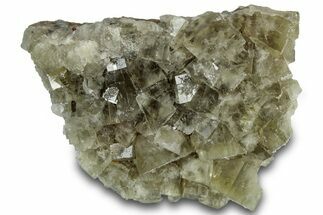 Fluorescent Fluorite Cluster - Lady Annabella Mine, England #301690
