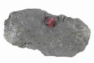 Red Embers Garnet in Graphite - Massachusetts #301118