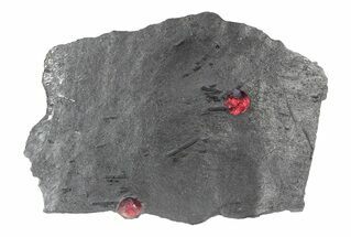 Plate of Two Red Embers Garnets in Graphite - Massachusetts #301133