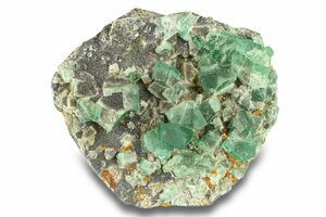 Fluorite Verte Naturelle D’Afrique – 8,16 Carats – Qualité Collection – P449.129t