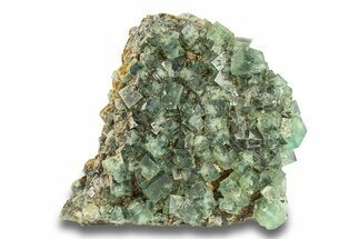 Fluorescent Green Fluorite Cluster - Diana Maria Mine, England #301663