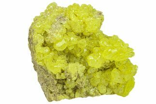 Bright-Yellow Sulfur Crystals - Bolivia #301844