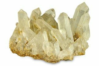 Quartz Crystal Cluster - Spruce Ridge, Washington #301240