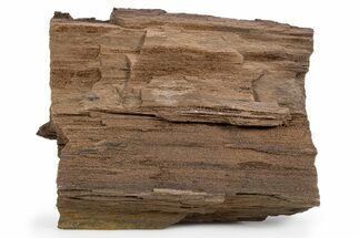 Permineralized Wood Covered In Sparkling Quartz - Germany #302078