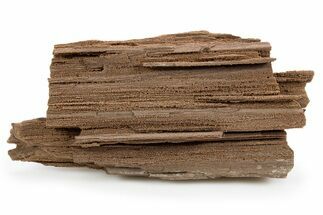 Permineralized Wood Covered In Sparkling Quartz - Germany #302082