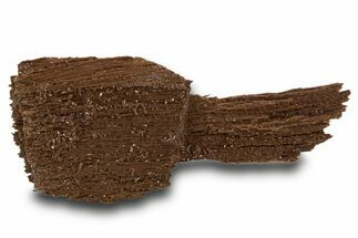 Permineralized Wood Covered In Sparkling Quartz - Germany #302087