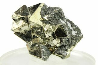 Octahedral Pyrite Crystal Cluster - Peru #301950