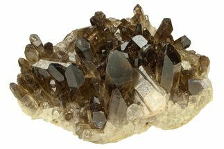 Dark Smoky Quartz Crystal Cluster - Brazil #302181