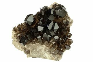 Dark Smoky Quartz Crystal Cluster - Brazil #302190