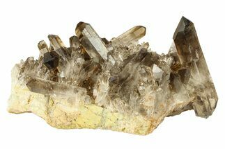 Dark Smoky Quartz Crystal Cluster - Brazil #302198