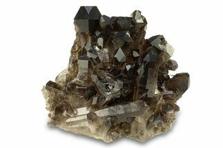 Dark Smoky Quartz Crystal Cluster - Brazil #302208