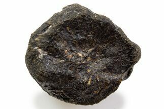 Fusion Crusted Eucrite Meteorite ( g) - NWA #302315