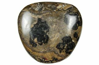 Polished Stromatolite (Greysonia) Pebble - Bolivia #302496