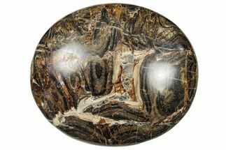 Polished Stromatolite (Greysonia) Pebble - Bolivia #302532