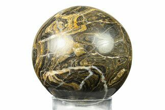 Polished Stromatolite (Greysonia) Sphere - Bolivia #302464