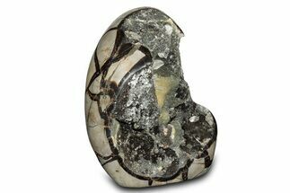 Free-Standing, Polished Septarian Geode - Black & Yellow Crystals #302867