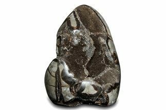 Free-Standing, Polished Septarian Geode - Black Crystals #302871