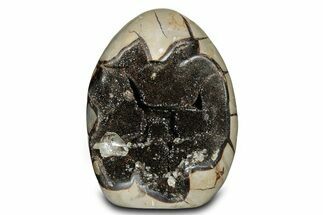 Free-Standing, Polished Septarian Geode - Black Crystals #302872