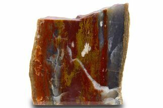 Colorful Polished Petrified Wood Stand Up - Utah #302991