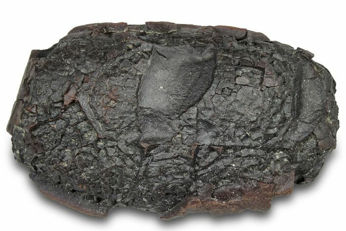 Dragonscale Rocks 2.95