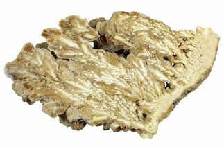 Polished Barite With Pyrite - Lubin Mine, Poland #302418