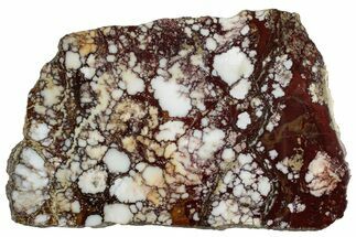 Polished Wild Horse Magnesite Slab - Arizona #301696