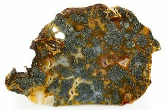 Colorful Polished Marcasite Agate Slab - Indonesia #303453