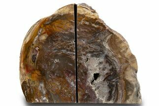 Tall Colorful Petrified Wood Bookends - Madagascar #303572