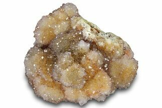 Sparkling Cactus Quartz Crystal Cluster - South Africa #303476