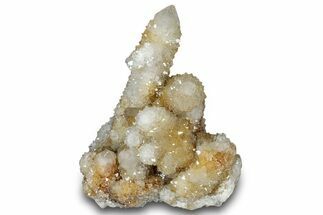 Sparkling Cactus Quartz Crystal Cluster - South Africa #303483