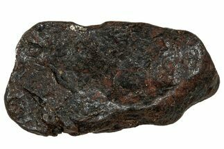 Canyon Diablo Iron Meteorite ( g) - Arizona #303553