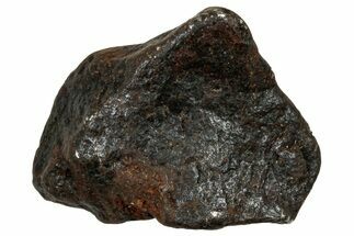 Canyon Diablo Iron Meteorite ( g) - Arizona #303555