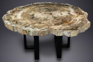 Polished Triassic Petrified Wood Table - Madagascar #303667