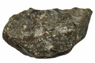 Lunar Meteorite ( g) Section - Touat #303604